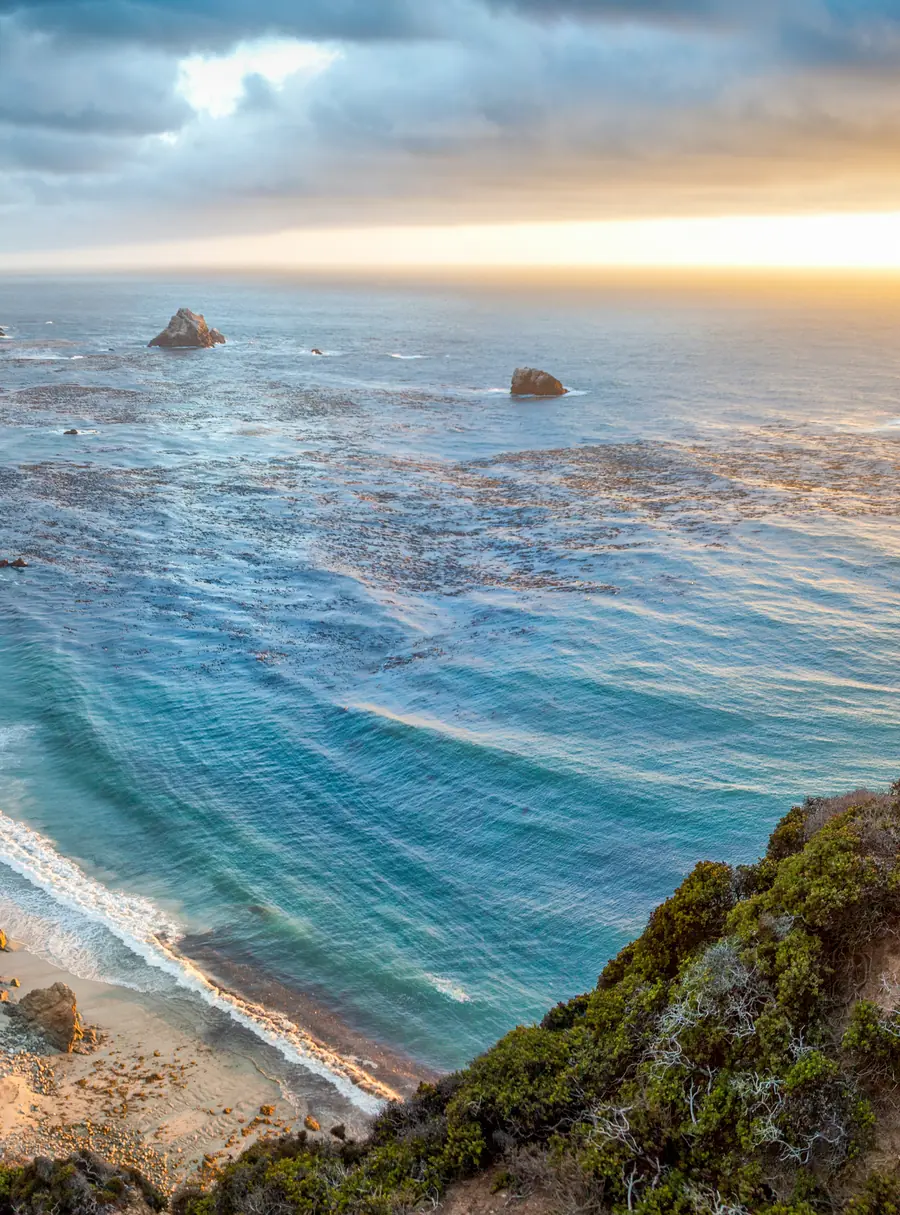 California