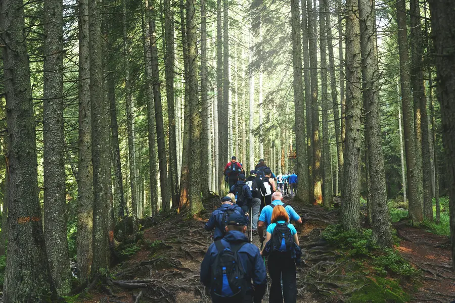 Hiking Gear